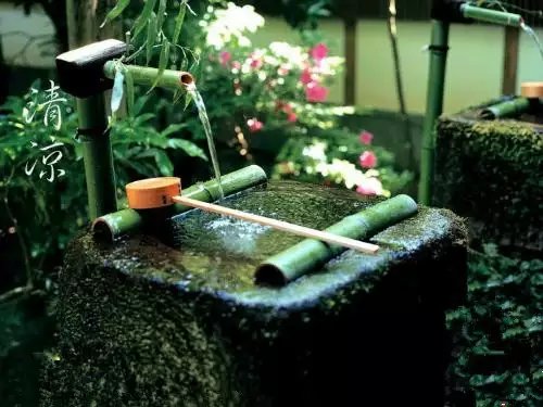 【星月.五年】時(shí)光很美，我們亦很美（散文）