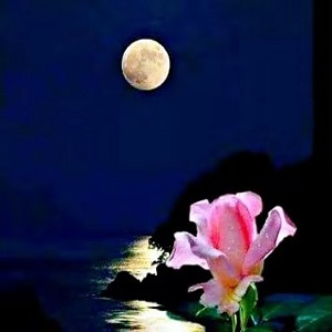 【清韻】今夜，月光遼闊（外三首）