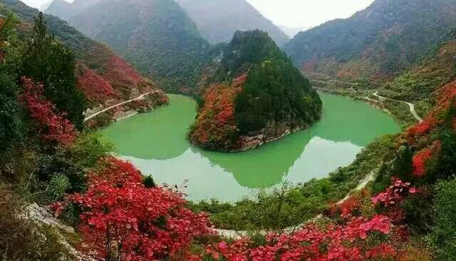 【丁香青春】秋紅靈官峽、春碧嘉陵江（散文）