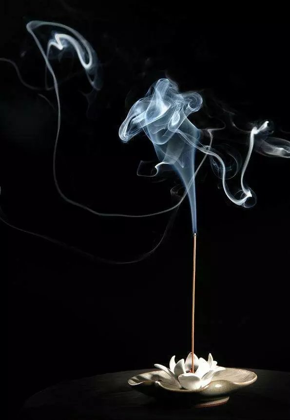 【曉荷·家國天下】悠然光陰下，慢慢等老（散文）