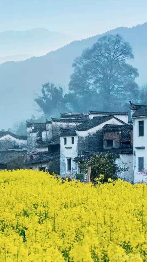 【擺渡·春】春天二題（詩(shī)歌）