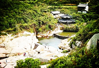 【東籬】取景，櫻桃園（散文）