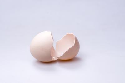 小蟲子、小螞蟻和蝴蝶(詩歌)