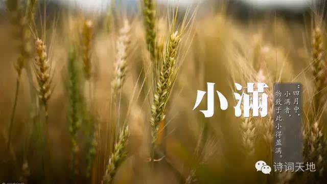 【荷塘“PK大獎(jiǎng)賽”】節(jié)氣書(shū)（散文）
