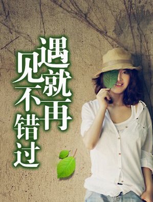 【柳岸】如果遇見，請不要錯過（小說）
