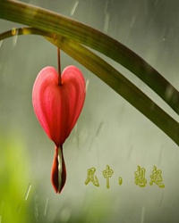 風(fēng)中，想起