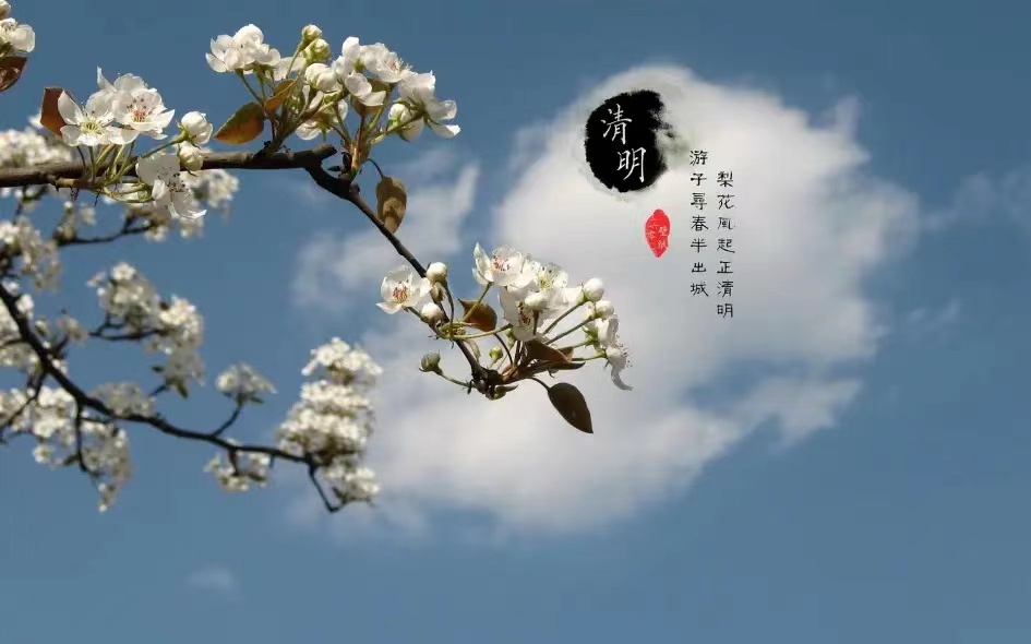 【寧?kù)o】清明，與父親書（散文）