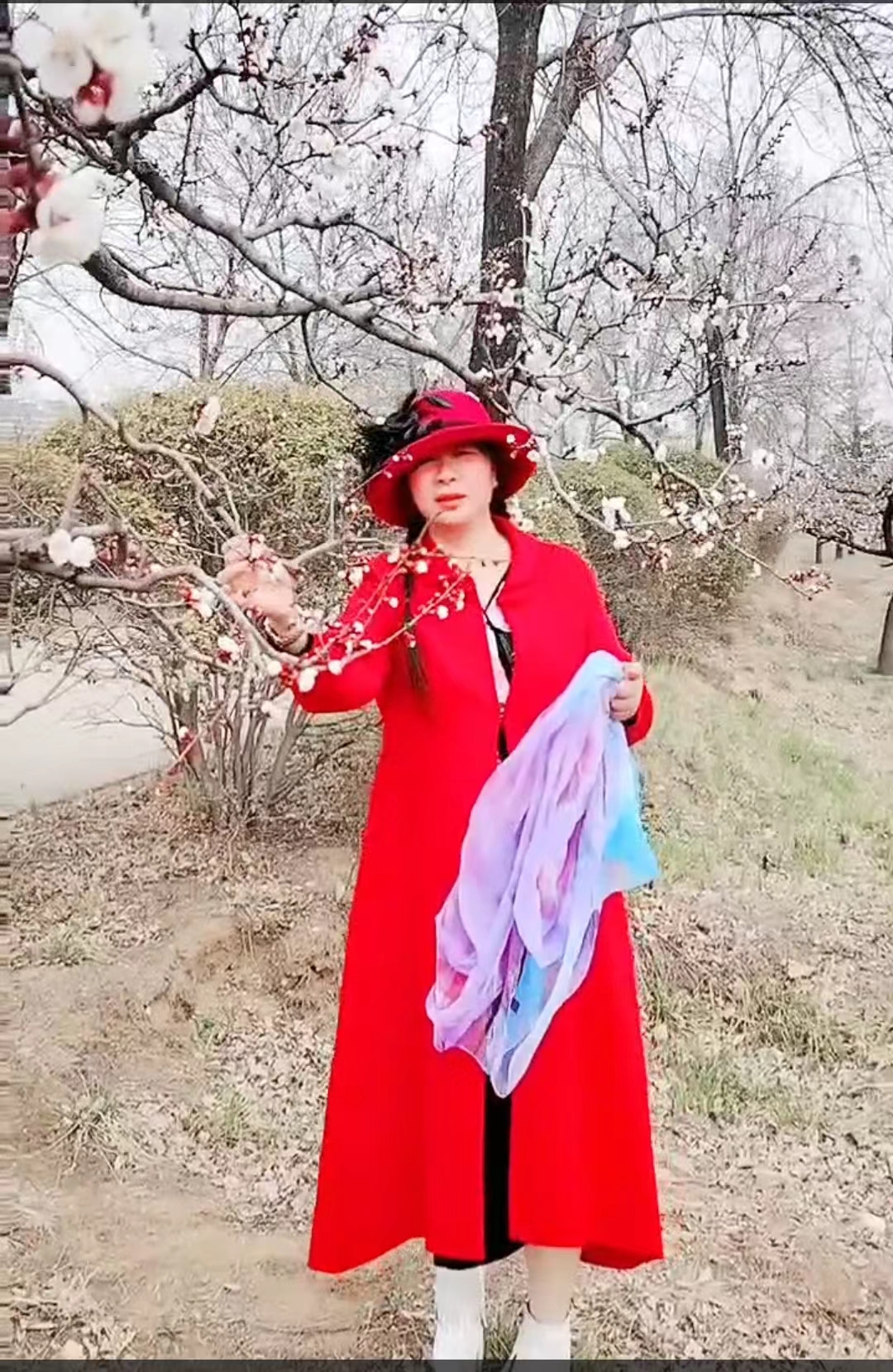 【天涯】杏白，春天嫁給人間的長(zhǎng)女（散文）