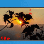 歲月靜好
