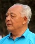 老榆樹(shù)